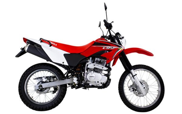 Formula Cyclone 250 - Image 2