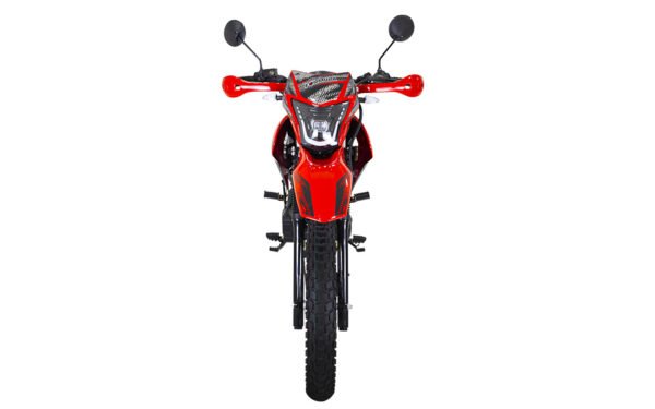 Formula LX 250 - Image 3